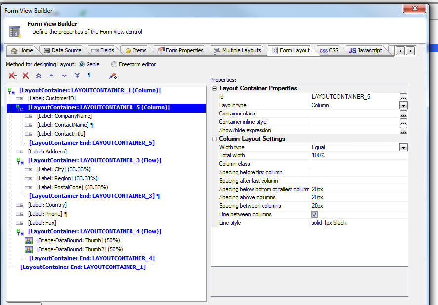 Form Layout definition for the nested container layout shown in the previous image.